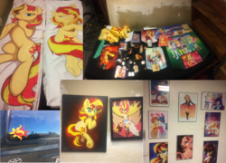 Size: 1200x864 | Tagged: safe, sunset shimmer, pony, unicorn, equestria girls, g4, body pillow, merchandise