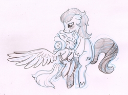 Size: 2827x2104 | Tagged: safe, artist:colourbee, oc, oc only, alicorn, earth pony, pony, high res, male, oc x oc, shipping, straight, traditional art
