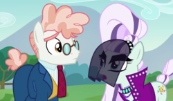 Size: 814x477 | Tagged: safe, screencap, coloratura, svengallop, earth pony, pony, g4, the mane attraction, countess coloratura, male, stallion