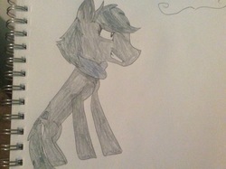 Size: 2592x1936 | Tagged: safe, artist:demonbass, oc, oc only, earth pony, pony, female, solo, traditional art