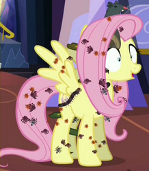 Size: 648x744 | Tagged: safe, screencap, fluttershy, bat, beetle, centipede, insect, pegasus, pony, rat, snake, spider, every little thing she does, g4, creepy crawlies, cropped, female, fiducia compellia, hypnosis, hypnotized, mare, open mouth, parasite, smiling, solo, spread wings, that pony sure does love animals, thousand yard stare, wide eyes, wtf