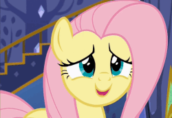 Size: 578x396 | Tagged: safe, screencap, fluttershy, pegasus, pony, every little thing she does, g4, season 6, animated, cute, female, gif, shyabetes, solo