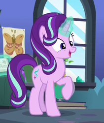 Size: 291x344 | Tagged: safe, screencap, starlight glimmer, butterfly, pony, every little thing she does, g4, cute, female, glimmerbetes, mare, solo, starlight's room