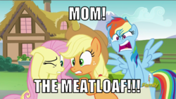 Size: 546x307 | Tagged: safe, edit, edited screencap, screencap, applejack, fluttershy, rainbow dash, every little thing she does, g4, meme, messy mane, wedding crashers, will ferrell, yelling