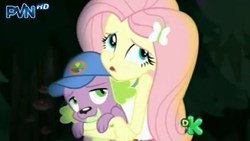 Size: 426x240 | Tagged: safe, screencap, fluttershy, spike, spike the regular dog, dog, equestria girls, g4, my little pony equestria girls: legend of everfree, discovery kids