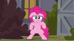 Size: 1100x618 | Tagged: safe, screencap, pinkie pie, earth pony, pony, a friend in deed, g4, my little pony: friendship is magic, cute, diapinkes, female, floppy ears, mare, solo, squatting