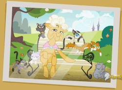 Size: 651x479 | Tagged: safe, screencap, goldie delicious, cat, earth pony, pony, siamese cat, every little thing she does, g4, bench, clothes, female, gif, goldie delicious' cats, lil bub, mare, non-animated gif, photo, picture, shawl, solo, too many cats