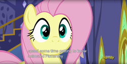 Size: 1920x975 | Tagged: safe, screencap, fluttershy, pony, every little thing she does, g4, discovery family logo, female, meme, solo, youtube caption