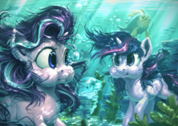 Size: 1920x1360 | Tagged: safe, artist:assasinmonkey, starlight glimmer, twilight sparkle, alicorn, fish, jellyfish, pony, every little thing she does, g4, :t, crepuscular rays, cute, digital painting, duo, duo female, female, holding breath, puffy cheeks, scene interpretation, smiling, teacher and student, twilight sparkle (alicorn), underwater, water, wet mane