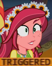 Size: 399x499 | Tagged: safe, edit, edited screencap, screencap, gloriosa daisy, sunset shimmer, equestria girls, g4, my little pony equestria girls: legend of everfree, faic, female, flower, freckles, headband, jewelry, magical geodes, meme, necklace, solo, triggered, twitching