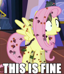Size: 648x744 | Tagged: safe, edit, edited screencap, screencap, fluttershy, bat, beetle, centipede, insect, pegasus, pony, rat, snake, spider, every little thing she does, g4, creepy crawlies, female, fiducia compellia, image macro, mare, meme, mind control, solo, this is fine, tick