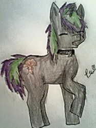 Size: 557x741 | Tagged: artist needed, safe, oc, oc only, oc:frenzy nuke, pony, unicorn, collar, happy