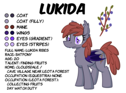 Size: 3000x2220 | Tagged: safe, artist:moemneop, oc, oc only, oc:lukida, bat pony, pony, high res, reference sheet, solo