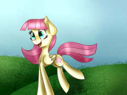 Size: 640x480 | Tagged: safe, artist:nelly250, oc, oc only, oc:cherry blossom, pony, solo