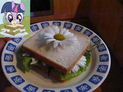 Size: 480x360 | Tagged: safe, twilight sparkle, g4, the ticket master, daffodil and daisy sandwich, defictionalization, food, irl, photo, sandwich, solo