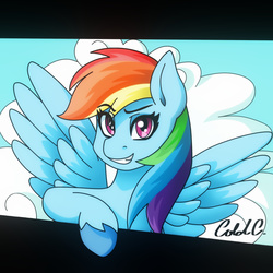 Size: 3000x3000 | Tagged: safe, artist:ciderpunk, derpibooru exclusive, rainbow dash, g4, breaking the fourth wall, bust, cloud, female, high res, portrait, sky, solo, wings