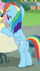 Size: 296x522 | Tagged: safe, screencap, rainbow dash, pony, every little thing she does, g4, butt, cropped, female, mare, plot, rainbutt dash