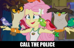Size: 1280x842 | Tagged: safe, edit, edited screencap, screencap, fluttershy, bird, owl, songbird, equestria girls, g4, my little pony equestria girls: legend of everfree, call the police, clothes, discovery kids, eyebrows, nervous, outstretched arms, perching, tank top