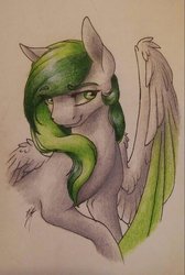 Size: 900x1336 | Tagged: safe, artist:cloud-dash, oc, oc only, oc:ivy note, pegasus, pony, solo, traditional art