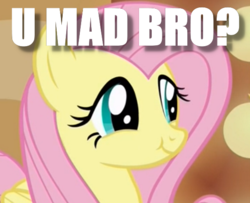 Size: 570x462 | Tagged: safe, edit, edited screencap, screencap, fluttershy, g4, viva las pegasus, caption, cute, female, image macro, las pegasus scrunchyshy, meme, shyabetes, smug, solo, you mad bro