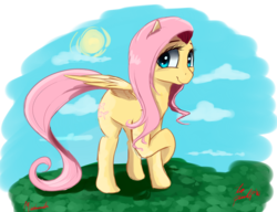Size: 1300x1000 | Tagged: safe, artist:miokomata, fluttershy, g4, crossed hooves, cute, female, looking at you, shyabetes, signature, solo, spread wings