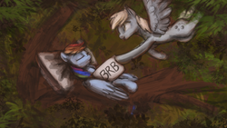 Size: 1920x1080 | Tagged: safe, artist:penny-wren, derpy hooves, rainbow dash, pegasus, pony, g4, female, mare, on back, pillow, sign, sleeping, tree, tree branch