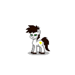 Size: 400x400 | Tagged: safe, pony, pony town, goanimate, notsmirks, ponified, solo