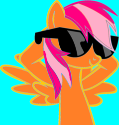 Size: 900x943 | Tagged: safe, artist:mlplover845, edit, oc, oc only, base used, rainbow dash's sunglasses, recolor, solo