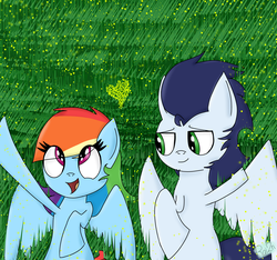 Size: 1600x1500 | Tagged: safe, artist:rai2n, rainbow dash, soarin', pony, g4, grass, male, ship:soarindash, shipping, straight