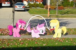 Size: 2464x1632 | Tagged: safe, artist:oppositebros, noi, piña colada, ruby pinch, pony, g4, awwpplecore, blank flank, cute, irl, jump rope, leaves, noiabetes, photo, piña cutelada, ponies in real life, skipping, vector