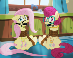 Size: 1024x819 | Tagged: safe, artist:radiantrealm, part of a set, fluttershy, posey shy, g4, ballgag, bondage, bridle, commission, duo, duo female, female, gag, glasses, kidnapped, looking at you, pearl necklace, ropes, scared, show accurate, sitting, straps, tied up