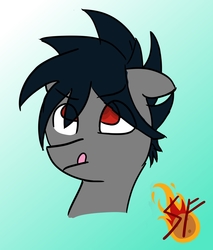 Size: 1189x1393 | Tagged: safe, artist:storm flare, artist:stormflare-2296, oc, oc only, oc:kashimi, earth pony, pony, bust, icon, male, portrait, simple background, solo