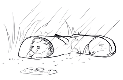 Size: 1280x832 | Tagged: safe, artist:lemurkatta, fluffy pony, boot, monochrome, rain