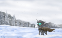 Size: 4920x3000 | Tagged: safe, artist:pony-stark, thorax, changeling, g4, the times they are a changeling, cloak, clothes, male, mountain, outdoors, sad, signature, sky, snow, snowfall, solo, standing, wind, winter