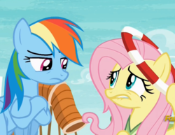 Size: 1071x826 | Tagged: safe, screencap, fluttershy, rainbow dash, pony, buckball season, g4