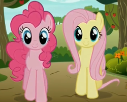 Size: 1425x1153 | Tagged: safe, screencap, fluttershy, pinkie pie, pony, buckball season, g4, my little pony: friendship is magic