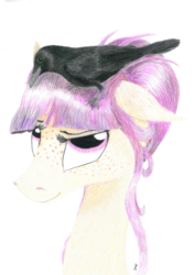 Size: 3307x4677 | Tagged: safe, artist:pony-from-everfree, oc, oc only, oc:rook winterwoods, bird, crow, earth pony, pony, bust, earth pony oc, floppy ears, freckles, lidded eyes, looking up, portrait, simple background, smirk, solo, traditional art, white background