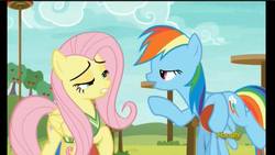 Size: 1280x720 | Tagged: safe, screencap, fluttershy, rainbow dash, pony, buckball season, g4