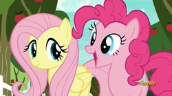 Size: 1279x713 | Tagged: safe, screencap, fluttershy, pinkie pie, pony, buckball season, g4, discovery family logo