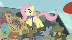 Size: 1279x716 | Tagged: safe, screencap, apple munchies, fluttershy, goldengrape, jonagold, lucky clover, marmalade jalapeno popette, meadow song, prairie belle, sir colton vines iii, yuma spurs, pony, buckball season, g4, apple family member, appleloosa resident, butt, female, mare, plot, unnamed character, unnamed pony