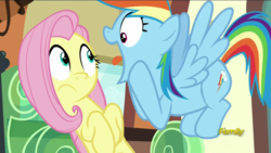 Size: 1280x720 | Tagged: safe, screencap, fluttershy, rainbow dash, pony, buckball season, g4, discovery family logo, great moments in animation, out of context