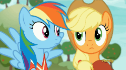 Size: 858x477 | Tagged: safe, screencap, applejack, rainbow dash, pony, buckball season, g4, clothes, gif, jersey, looking at each other, non-animated gif