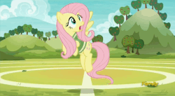 Size: 858x470 | Tagged: safe, screencap, fluttershy, pinkie pie, pony, buckball season, g4, animated, ball, clothes, duo, female, gif, jersey, pinktails pie