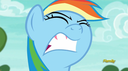 Size: 1920x1077 | Tagged: safe, screencap, rainbow dash, pony, buckball season, g4, bust, faic, female, gritted teeth, gums, mare, nose in the air, out of context, portrait, rainbow dash is best facemaker, solo