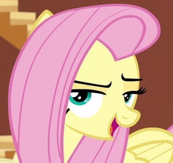 Size: 806x759 | Tagged: safe, screencap, fluttershy, pegasus, pony, dungeons and discords, g4, bedroom eyes, cropped, cute, female, folded wings, lidded eyes, mare, open mouth, shyabetes, smug, solo, wings