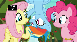 Size: 1306x708 | Tagged: safe, screencap, fluttershy, pinkie pie, rainbow dash, pony, buckball season, g4, discovery family logo, now kiss, out of context, tv-y, upside down
