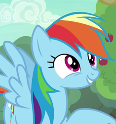 Size: 401x427 | Tagged: safe, screencap, rainbow dash, pegasus, pony, buckball season, g4, cute, dashabetes, female, mare, raised hoof, smiling, solo