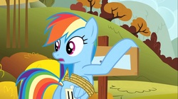 Size: 1100x618 | Tagged: safe, screencap, rainbow dash, pegasus, pony, fall weather friends, g4, bound wings, butt, female, looking back, mare, open mouth, plot, rainbutt dash, solo