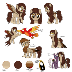 Size: 1000x1000 | Tagged: safe, artist:karmadash, oc, oc only, oc:krystal feathers, oc:nami, hippogriff, blank flank, blushing, kryami, pet, pet oc, reference sheet, simple background, solo, transparent background, wet mane