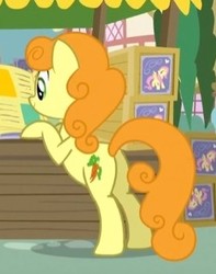Size: 250x317 | Tagged: safe, screencap, carrot top, golden harvest, pony, g4, green isn't your color, butt, cropped, female, goldenbutt, mare, plot, solo